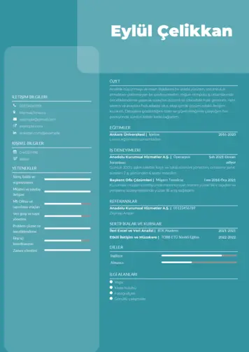  cv indir